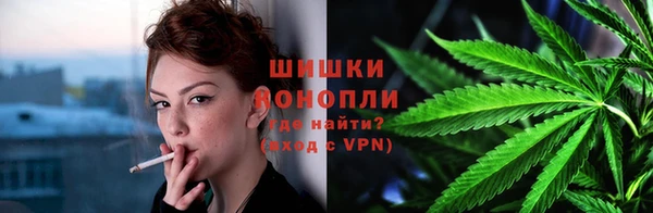 стаф Аркадак