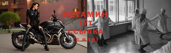 стаф Аркадак