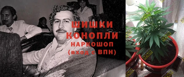 стаф Аркадак