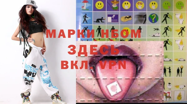 стаф Аркадак