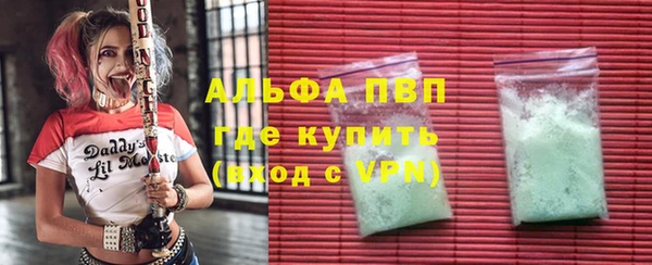 стаф Аркадак
